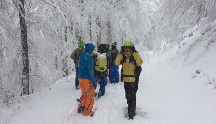 Wieder im Programm: Schneeschuhwandern
