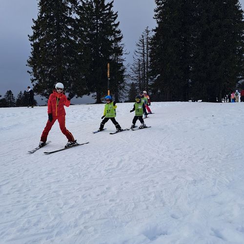Ski und Snowboardkurse Januar 2026